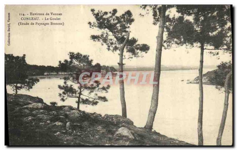 Old Postcard Environs de Vannes Conleau Le Goulet Study of Breton peasants