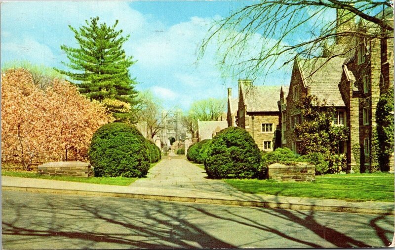 Pyne Hall Looking Towards Blair Tower Princeton NJ University Postcard Note WOB 