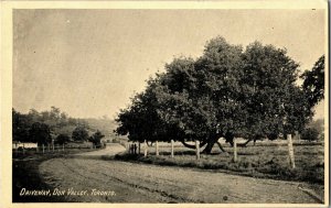 Driveway, Don Valley, Toronto Canada Vintage Postcard B29