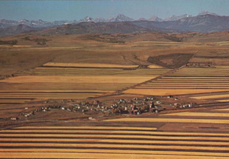 Alta Foothills Strip Farming Birds Eye Aerial Canada Canadian Postcard