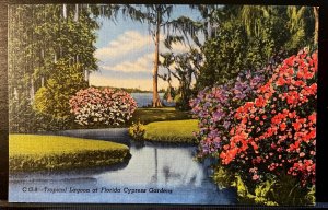 Vintage Postcard 1947 Tropical Lagoon, Cypress Gardens, Winter Haven, Florida FL