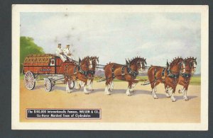 Ca 1934 PPC* WILSON & CO SIX HORSE MATCHED TEAM OF CLYDESDALES MINT HAS STAINS