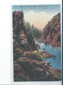 Vintage Rare Postcard 3198 Hell Gate Rogue River Oregon Edw. Mitchell San F # 14