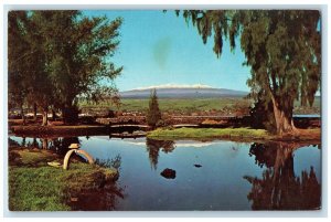 1967 View Of Mauna Kea Hilo Hawaii HI, Lake Scene Posted Vintage Postcard