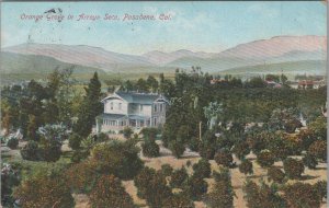 Postcard Orange Grove Arroyo Seco Pasadena CA 1908