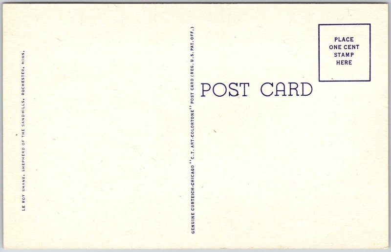 Rochester MN-Minnesota, Mayo Clinic and Hotel Kahler Buildings, Vintage Postcard