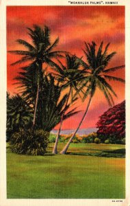 Hawaii Moanalua Palms At Moanalua Gardens 1940 Curteich