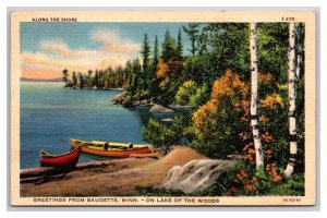 Generic Scenic Greetings Canoe at Shore Baudette Minnesota MN Linen Postcard N25