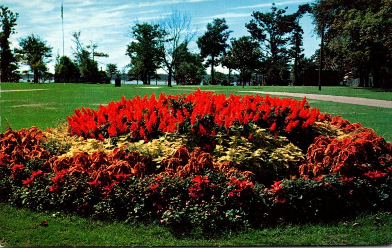 Massachusetts New Bedford Flower Bed At Hazelwood Park