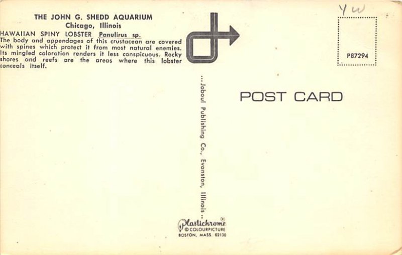 Hawaiian Spiny Lobster Fish Unused 