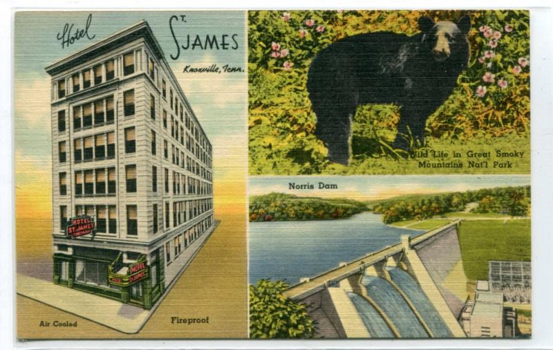 Hotel St James Black Bear Norris Dam Knoxville Tennessee linen postcard