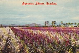 Japanese Flower Gardens Phoenix Arizona