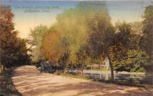 Bridgeport Connecticut~Beardsley Park-The Willows~Carriage on Road~Pond~1912 Pc