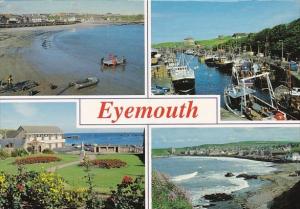 Scotland Eyemouth Harbour Multi View