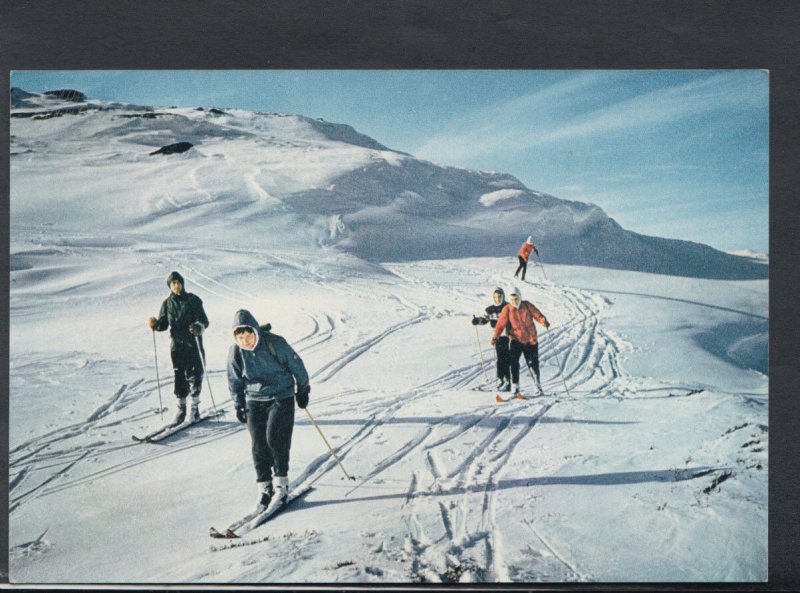 Sports Postcard - Skiing - Ski Slopes Near Carrbridge, Scotland    T2235