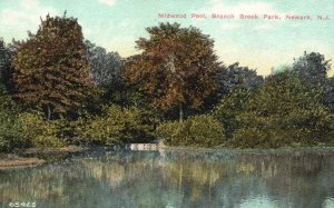 Vintage Postcard Midwood Pool Branch Brook Forest Park Newark New Jersey NJ