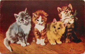 Signed Artist Postcard Kitty Cat Yellow Kitten Gray and White