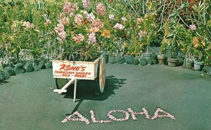 1978 Kong's Floraleigh Gardens Orchid Flowers Hilo Hawaii HI Posted Postcard