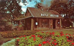 ST JOHNSBURY, VT Vermont  SUGAR HOUSE & MAPLE MUSEUM   c1960's Chrome Postcard