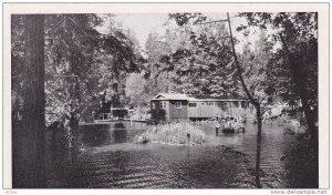 Swimming Pool,  Sequoia Gardens, near Santa Cruz,  California,  40-60s