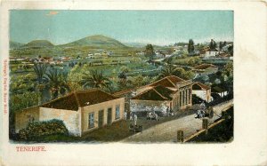 c1910 Postcard; Tenerife Spain, Street Scene, People & Donkeys, Canary Islands