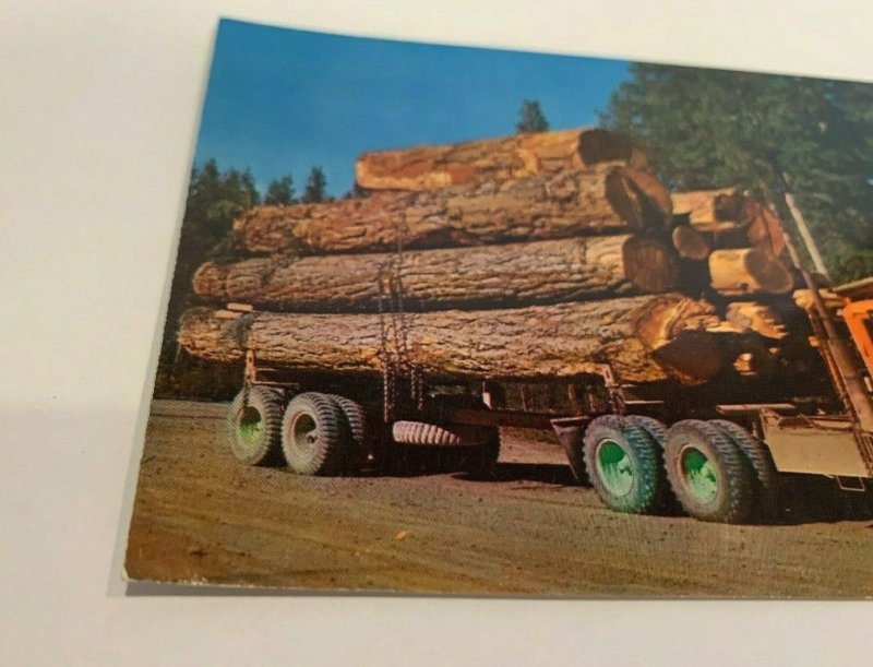 Paul Bunyan Toothpicks Logging Lumbering Comic Humor Transportation Postcards