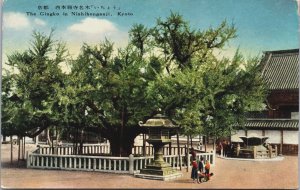 Japan The Ginkgo In Nishiho Kanji Kyoto Vintage Postcard C188