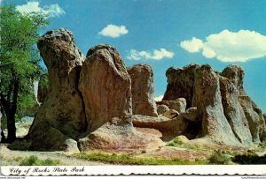 New Mexico City Of Rocks State Park Near Deming