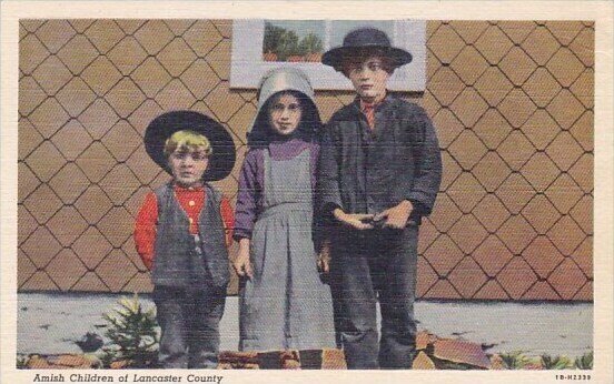 Amish Childern Of Lancaster County Pennsylvania 1951