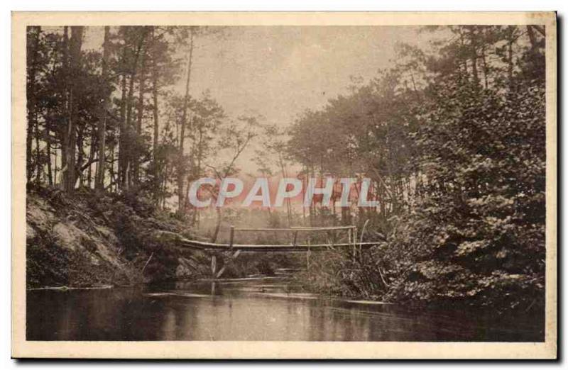 Picturesque La Lande - L & # 39Etang White - Old Postcard
