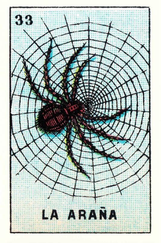 The Spider on a Web La Arana Mexican Loteria Postcard