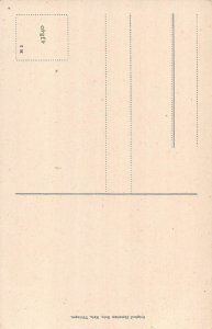 A195 Germany Geroldsauer Wasserfall Waterfall vintage postcard