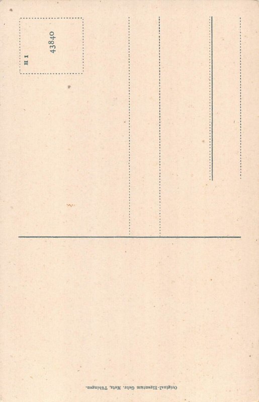 A195 Germany Geroldsauer Wasserfall Waterfall vintage postcard