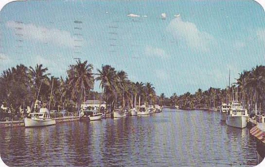 Florida Fort Louderdale New River And Yacht From Andrew Avenue 1951