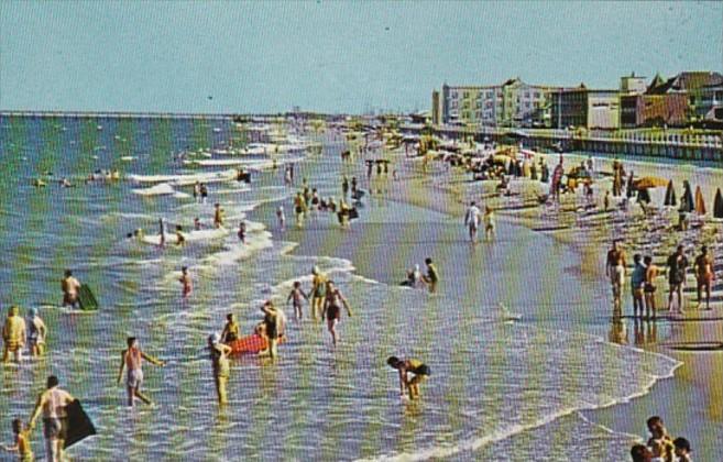 Virginia Virginia Beach Sunbathers