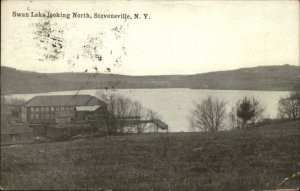 Stevensville NY Swan Lake c1910 Postcard