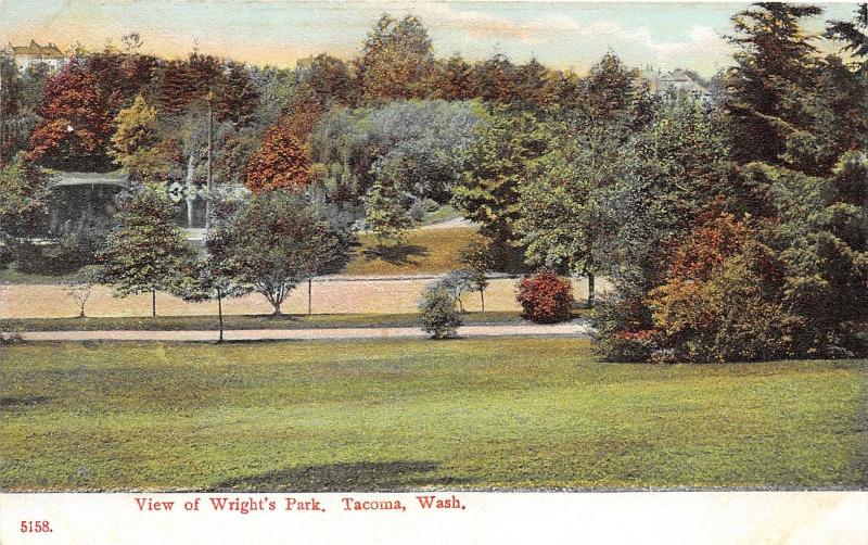 Tacoma Washington~Wright's Park View~Path Along Lake & Trees~1910 Postcard