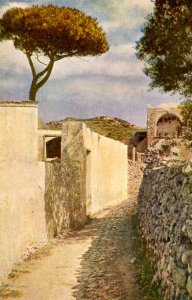 Italy - Capri. The Road to Tiberio