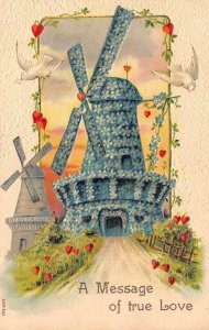 Romantic Greeting MESSAGE OF TRUE LOVE  Daisy Windmill c1910's Embossed Postcard