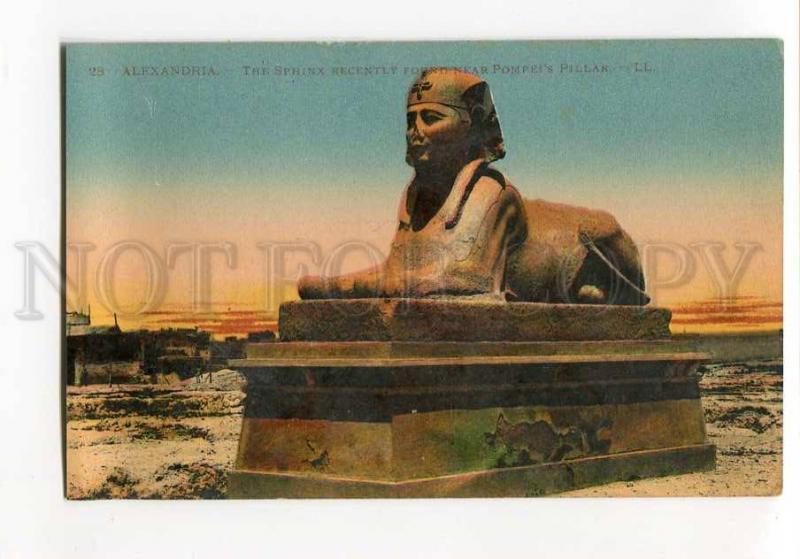 271125 EGYPT ALEXANDRIA Sphinx near Pompeis Pillar Vintage PC