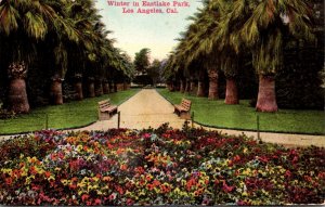 California Los Angeles Winter In East Lake Park
