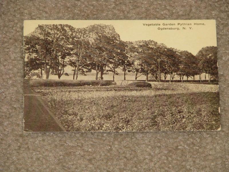 Vegetable Garden, Pythian Home, Ogdensburg, N.Y., unused vintage card