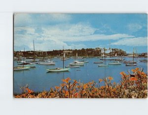 Postcard A Harbor For Many Sailing Boats On Cape Cod, Wychemere Harbor, MA