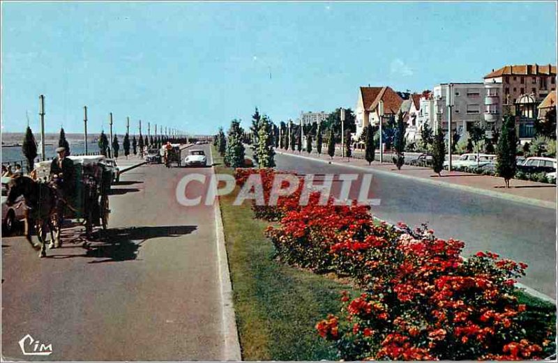 Postcard Moderne Vichy (Allier) Avenue de Lattre de Tassigny hitch