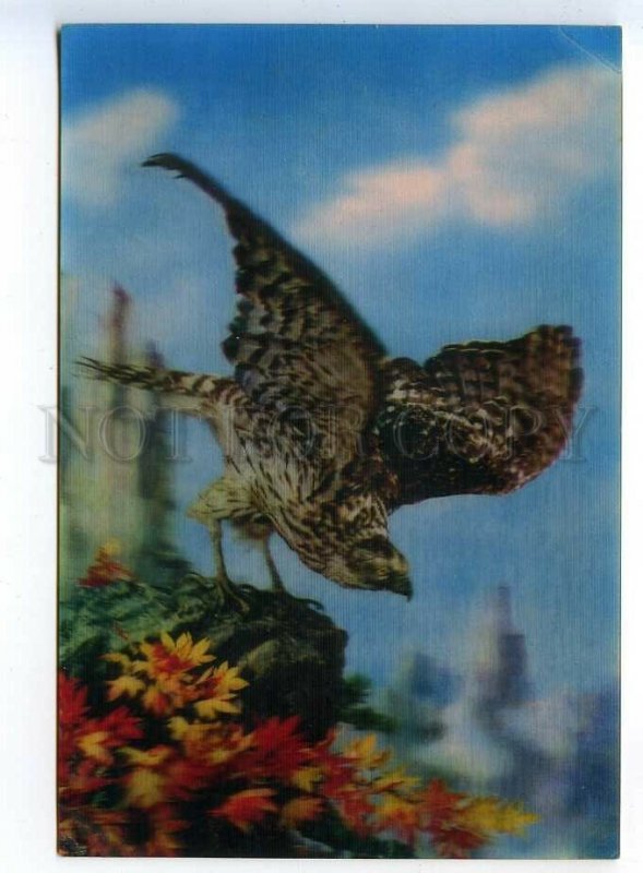 3141825 Hawk of Mt. Kumgang-san Mount Kumgang old 3D postcard