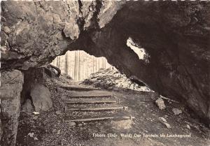 BG1545 tabarz thur wald der torstein im lauchagrund   CPSM 14x9.5cm  germany