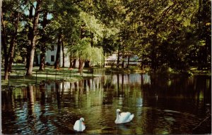 The Swans Winona Lake Lagoon Winona Lake IN Postcard PC400