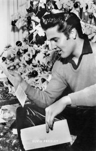 Singer / Actor Elvis Presley View Images