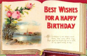 Greetings  BEST WISHES FOR A HAPPY BIRTHDAY Open Book ca1910's Embossed Postcard