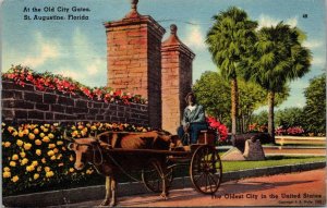 Florida St Augustine Ox Cart At The Old City Gates 1941